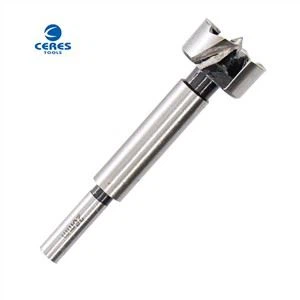 Karbidiseos ja 45 hiiliteräsmateriaalia forstner poranterät asetettu puulle